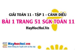 Giải bài 1 trang 51 Toán 11 tập 1 SGK Cánh Diều